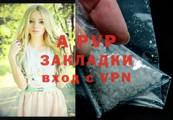 ECSTASY Няндома