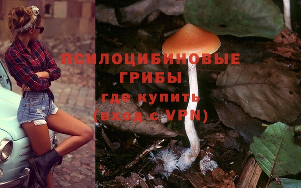 марки lsd Абаза