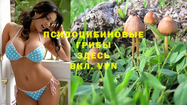 мдпв Нязепетровск